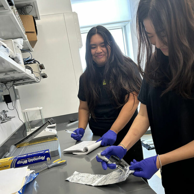 Two students use a small device to examine a sheet of aluminum.